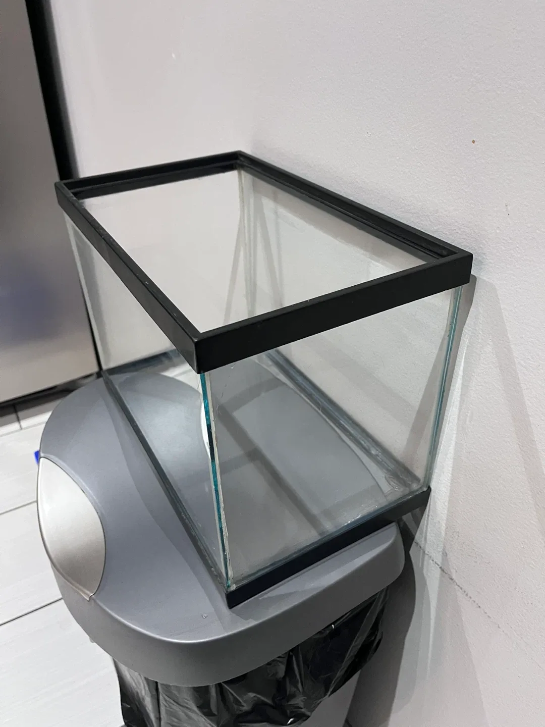 5 Gallon Aquarium Tank, Heater, Carbon, Ammonia Remover image indicator(3)