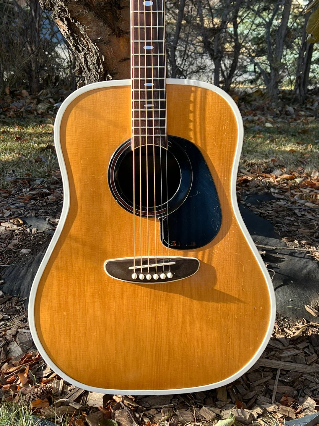 1979 USA built Kay dreadnought - photo 3