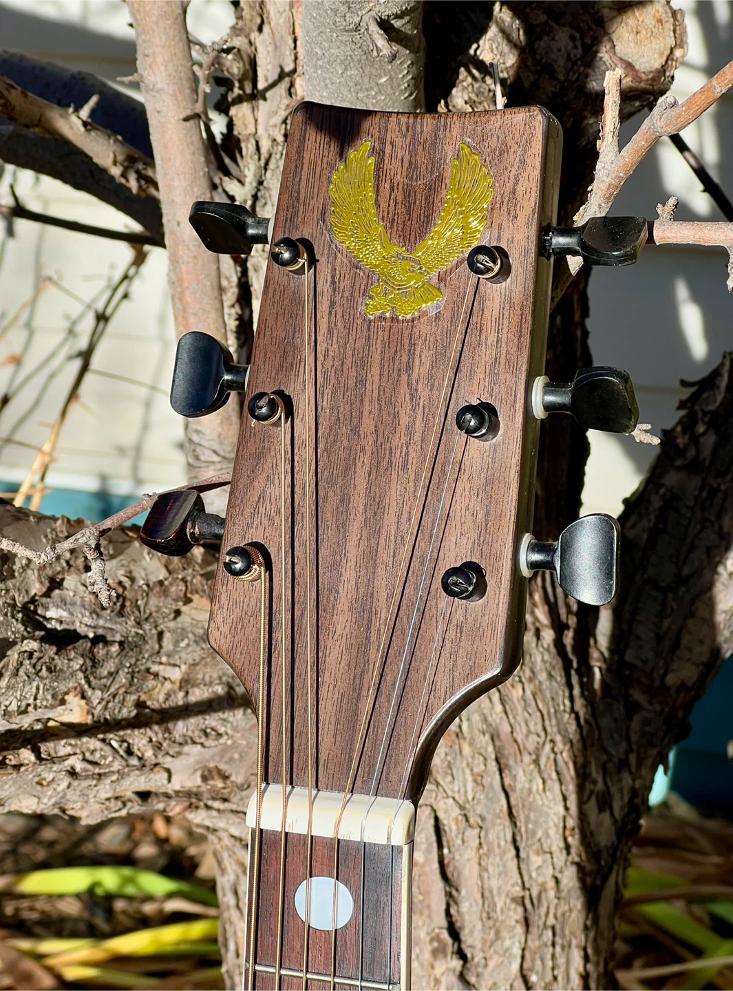 1979 USA built Kay dreadnought - photo 4