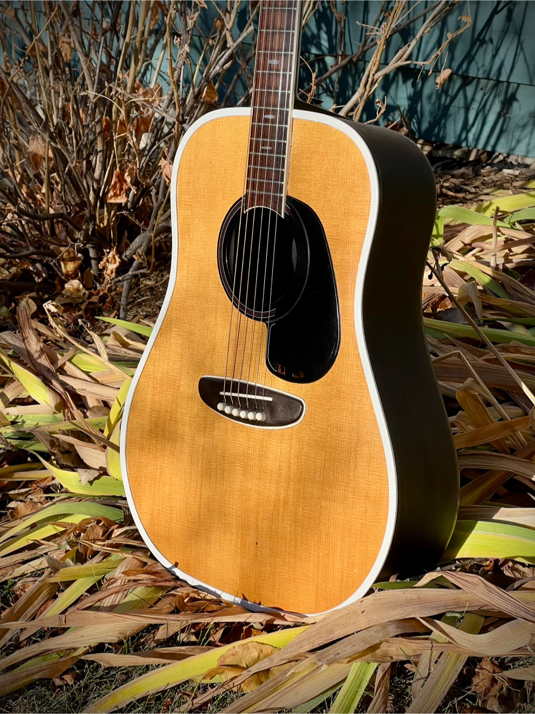 1979 USA built Kay dreadnought - photo 2