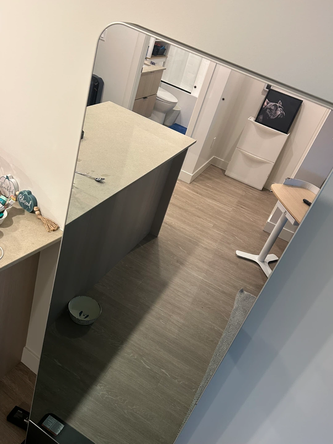 Smart Fitness Mirror