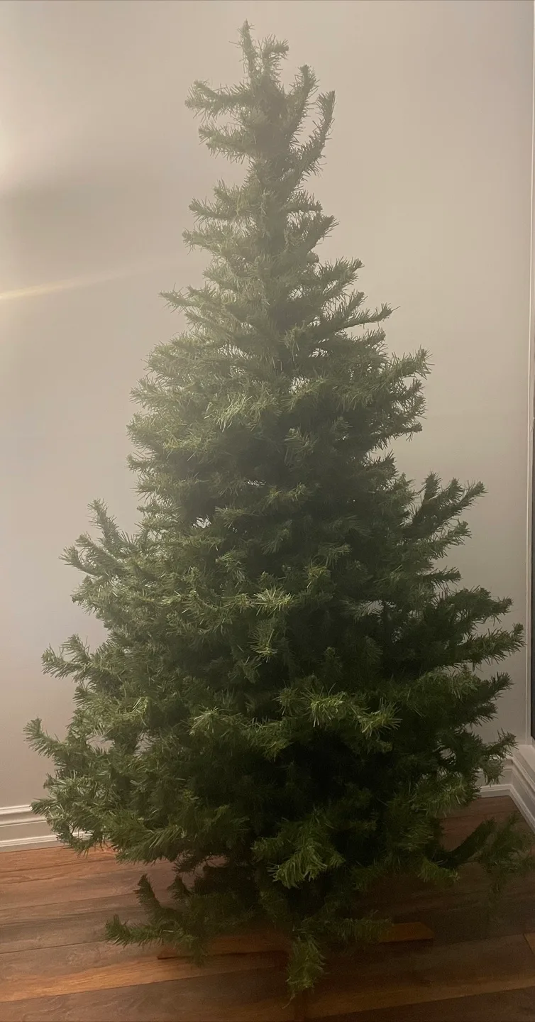 6 Ft Christmas Tree + Lights