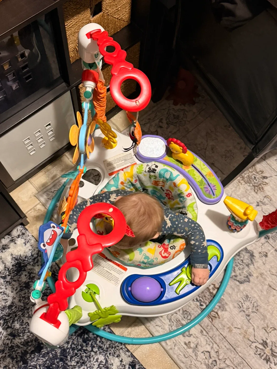 Fisher-Price Baby Jumperoo