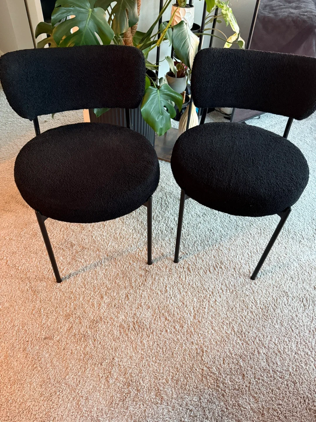 MUST GO ASAP—Set of 2 Black Boucle Dining Chairs
