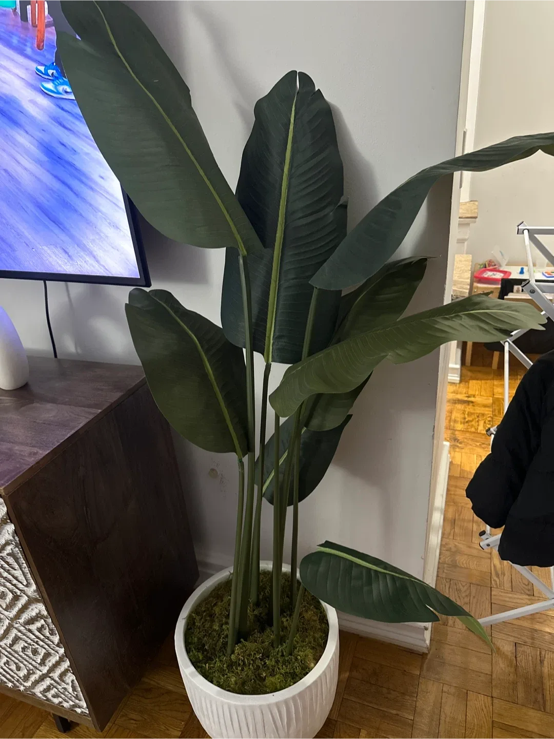 Silkcraft Faux Bird of Paradise Plant image indicator(3)