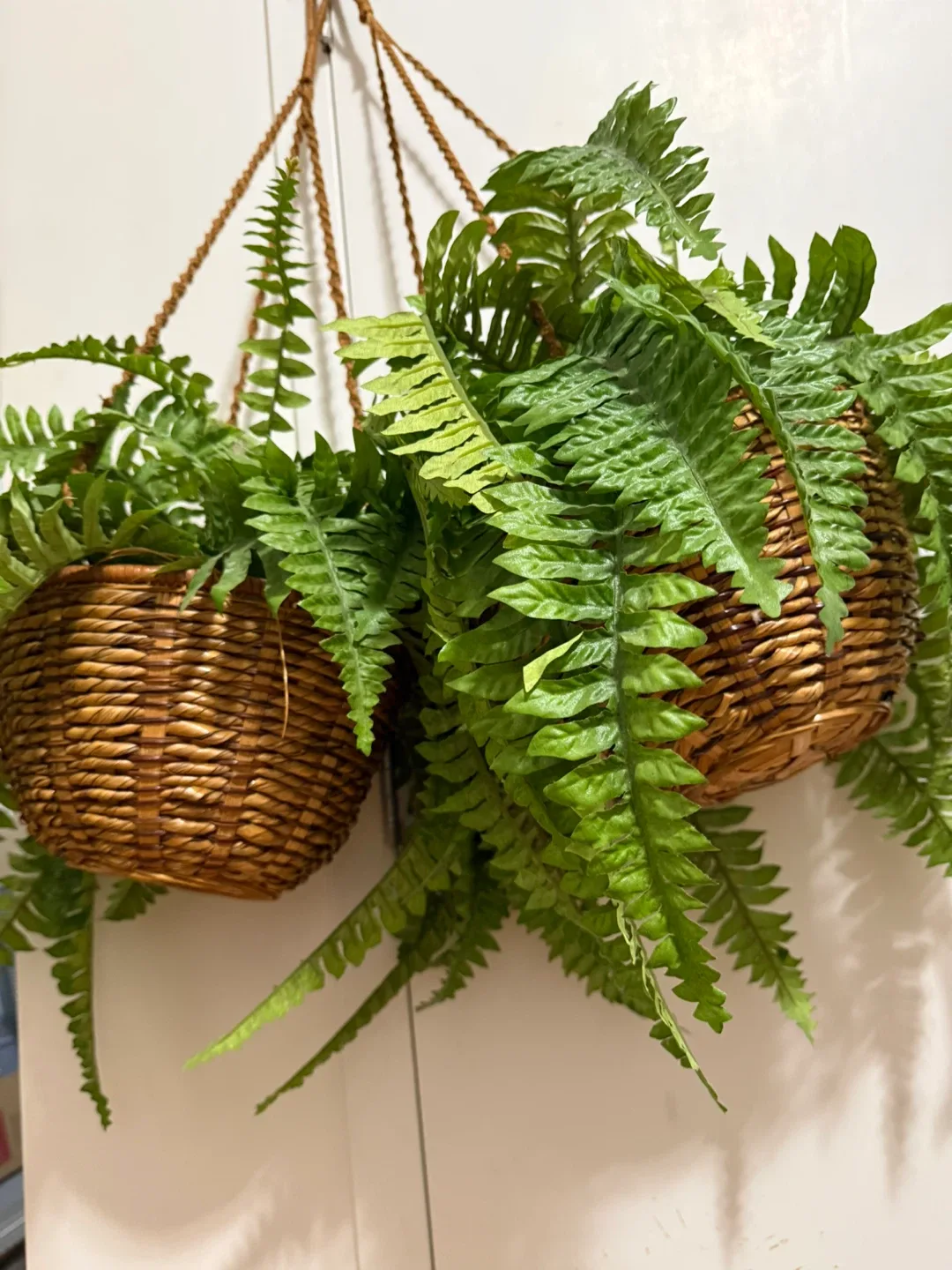 2 Hanging Basket with Artificial Fern