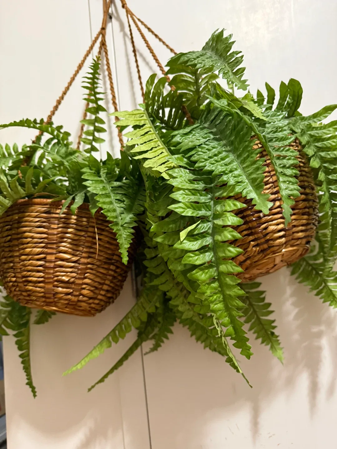 2 Hanging Basket with Artificial Fern image indicator(2)