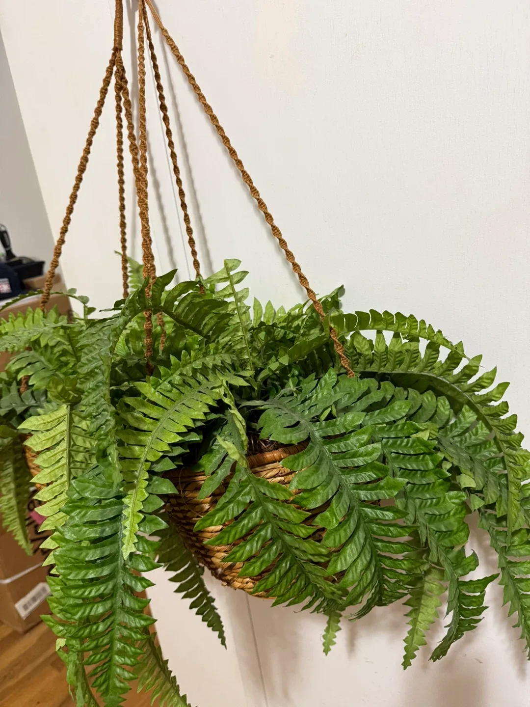 2 Hanging Basket with Artificial Fern image indicator(4)
