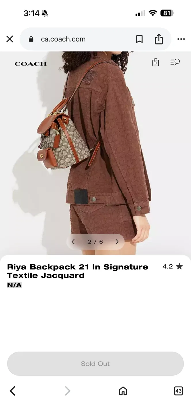 Coach Riya Backpack 21 In Signature Jacquard image indicator(4)