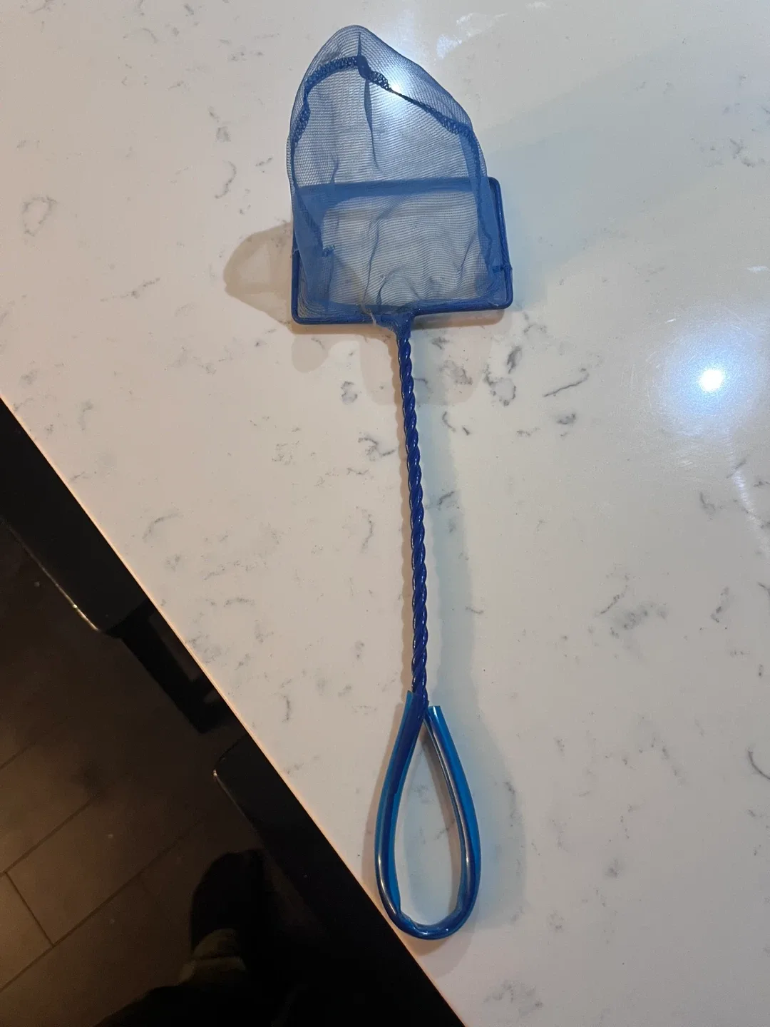 5 Gallon Aquarium Tank, Heater, Carbon, Ammonia Remover image indicator(10)