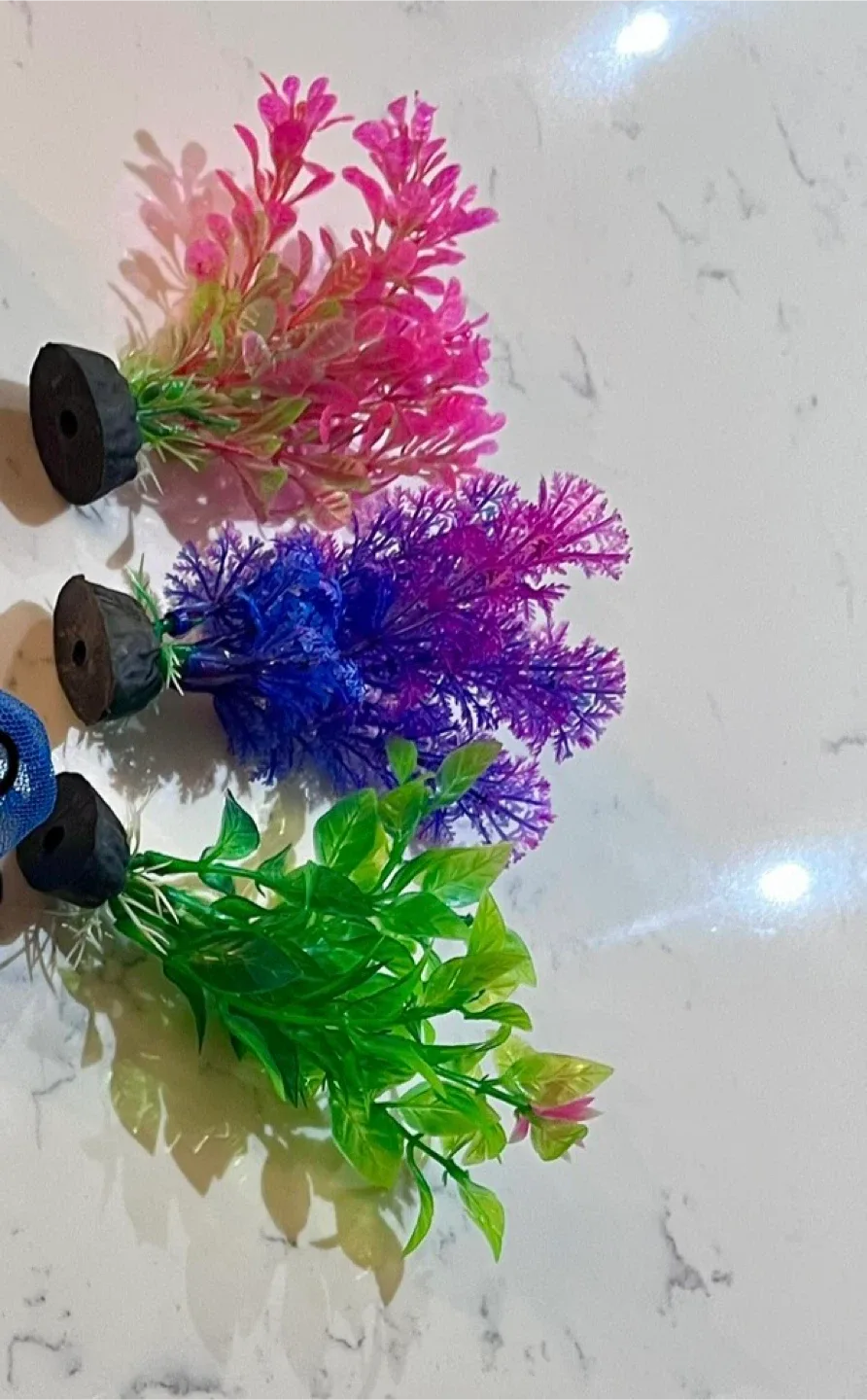 5 Gallon Aquarium Tank, Heater, Carbon, Ammonia Remover image indicator(9)