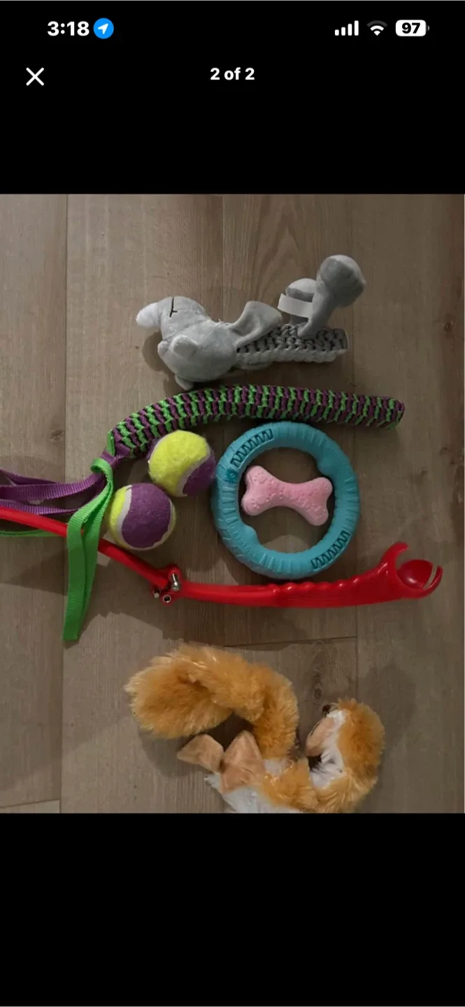 Dog Toy Bundle image indicator(2)