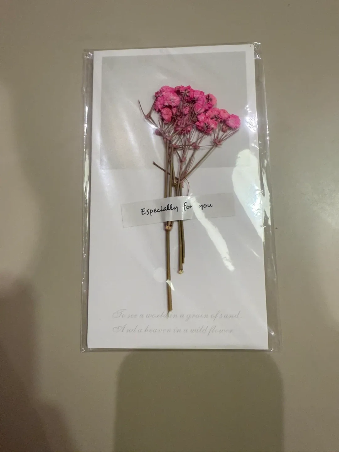 New gift! Real Rose + Silver Necklace Gift Set image indicator(8)