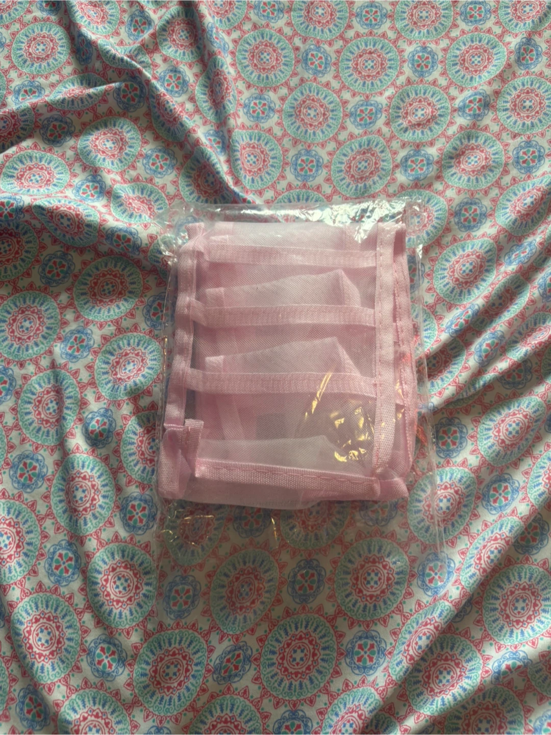 Pink Hanging Closet Organizer - New!