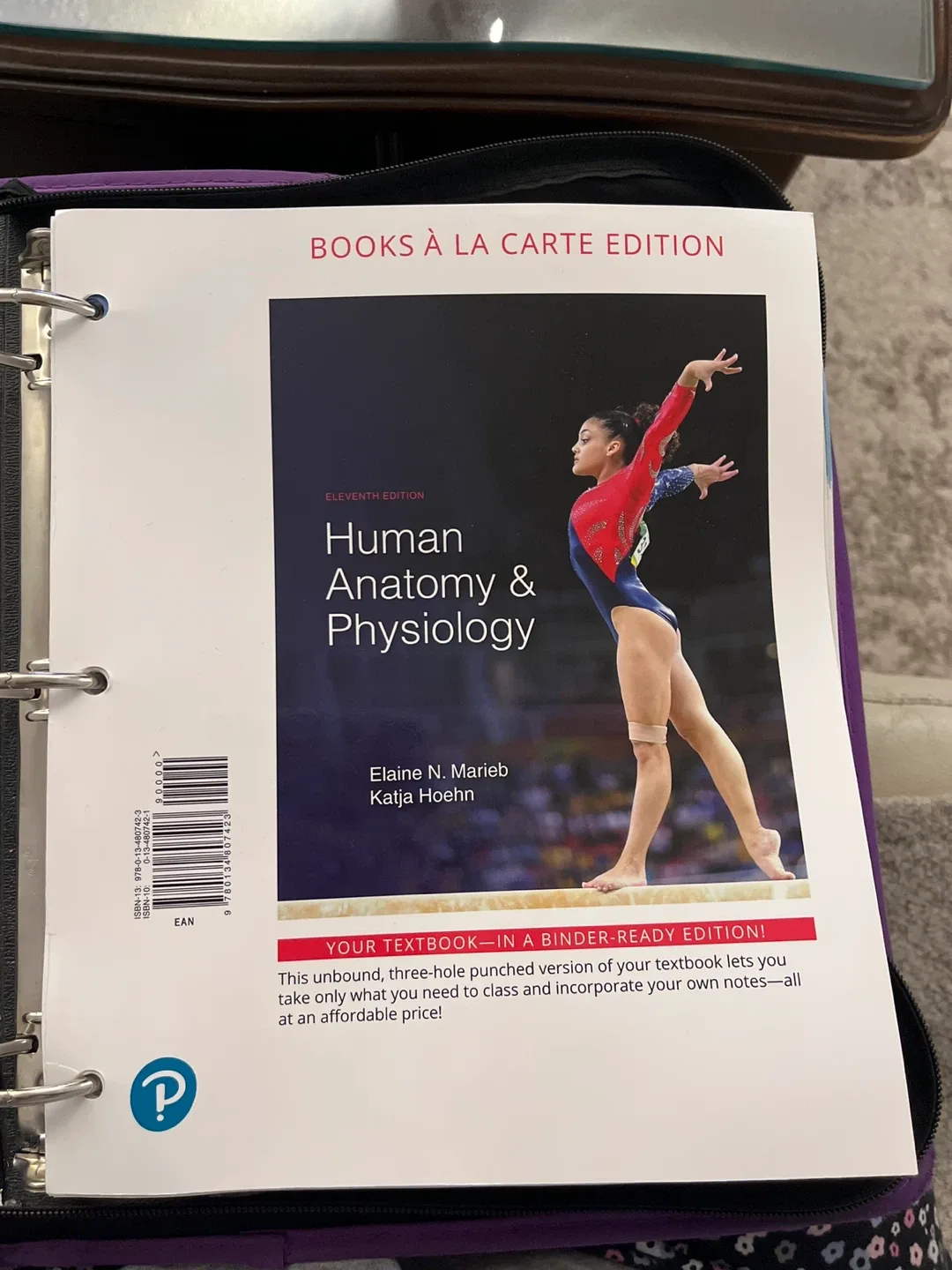 Human Anatomy & Physiology Textbook with binder image indicator(2)