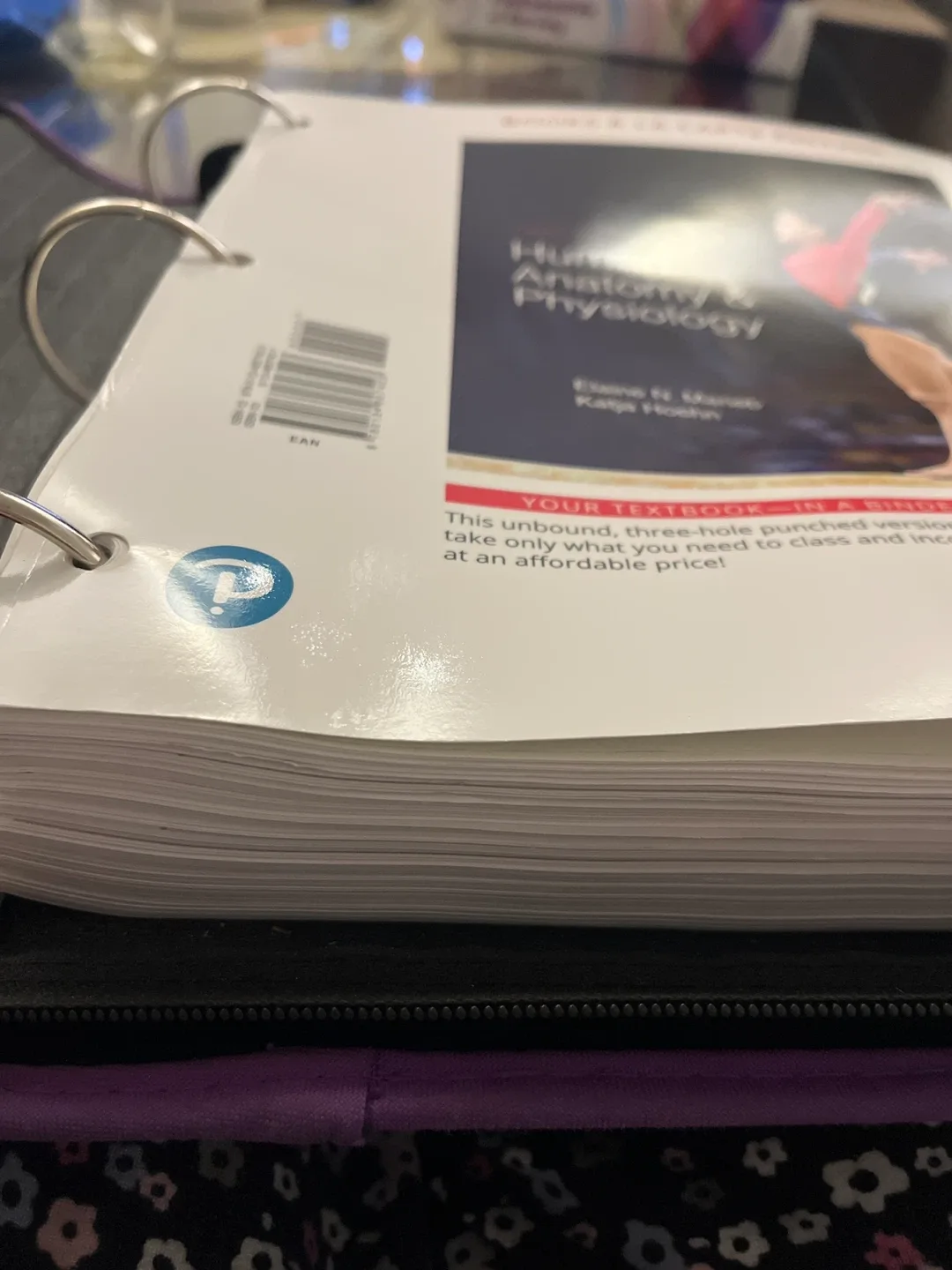 Human Anatomy & Physiology Textbook with binder image indicator(3)