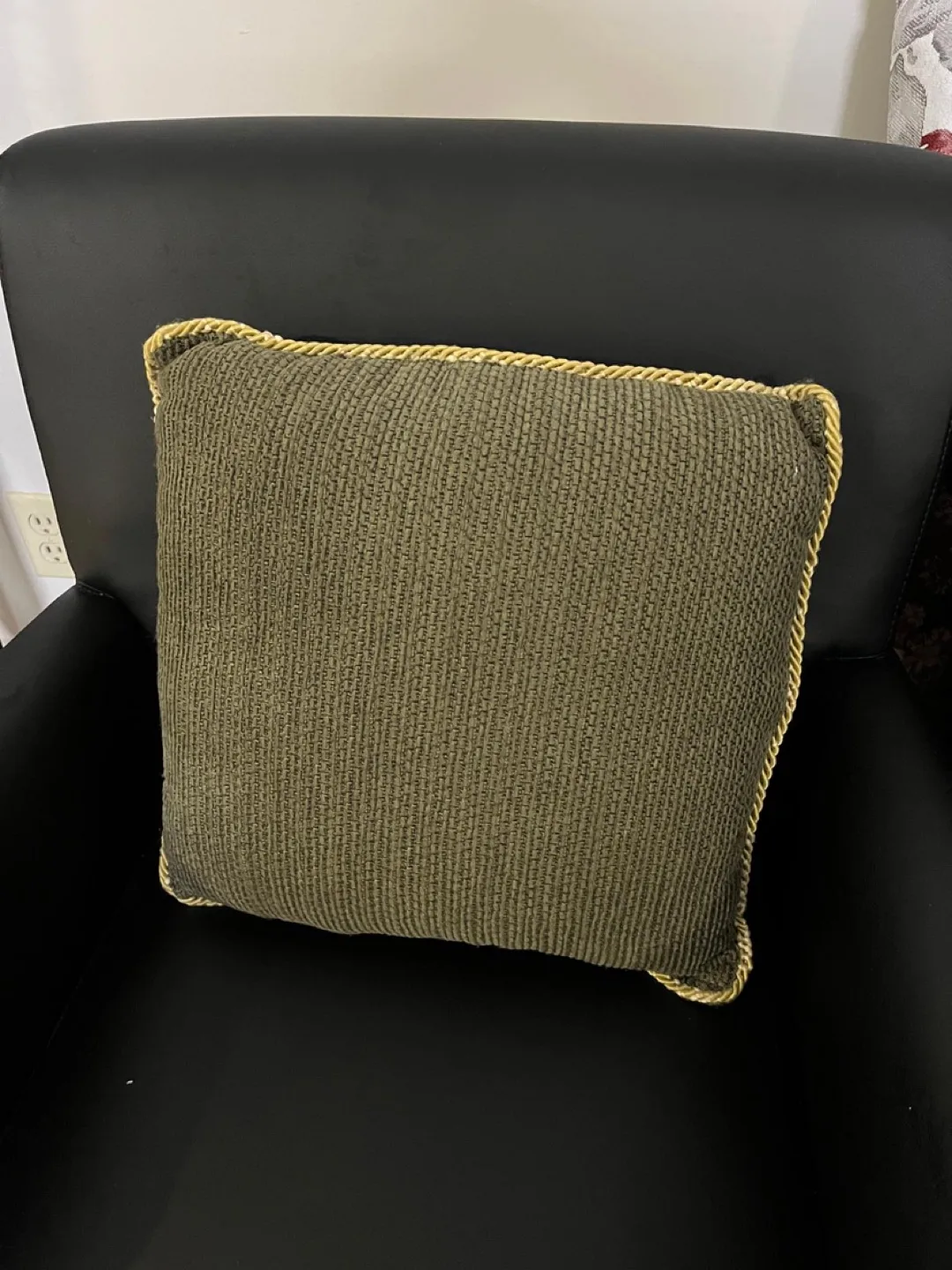 Throw Pillow