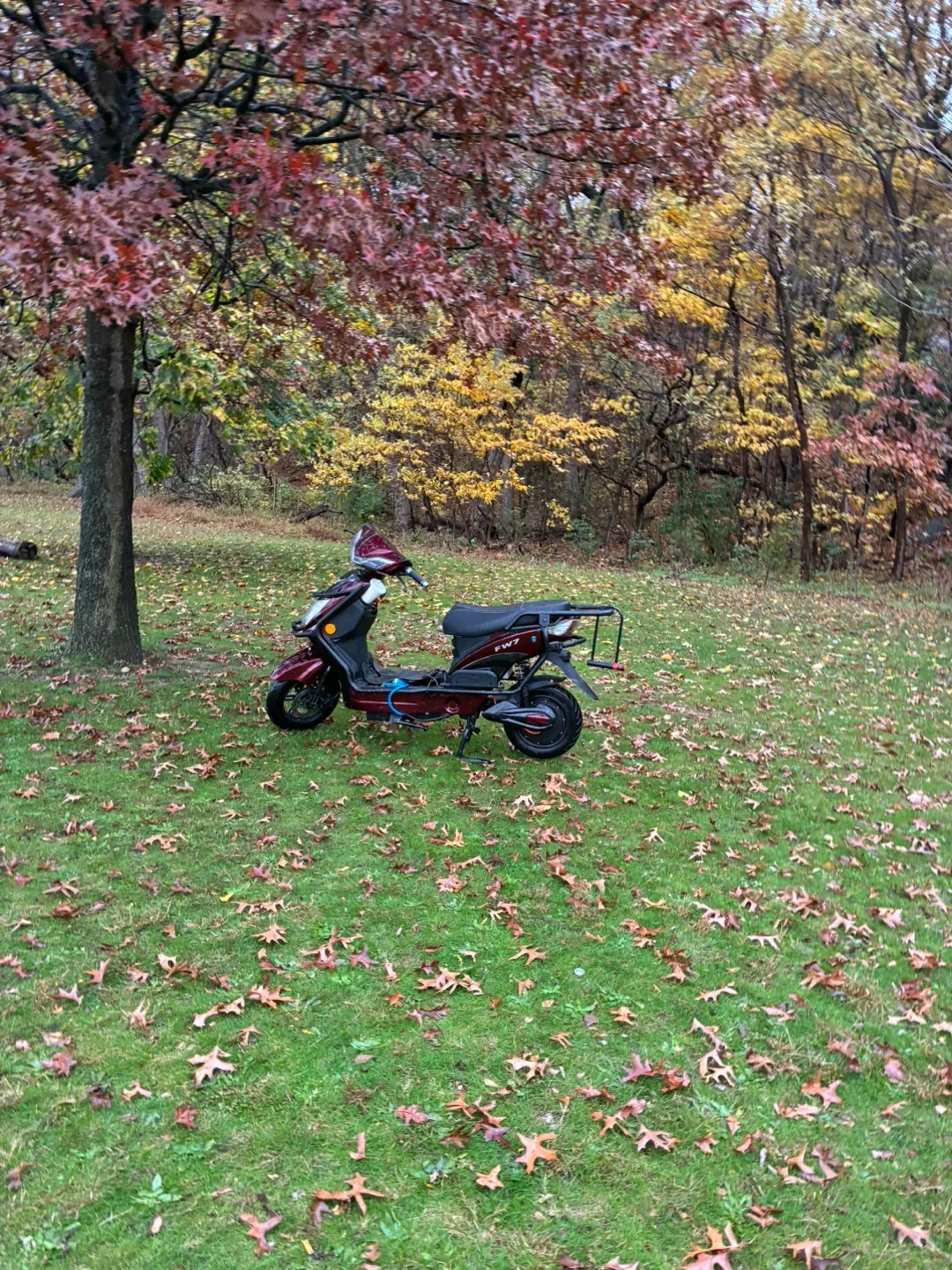 iBike Electric Scooter image indicator(2)