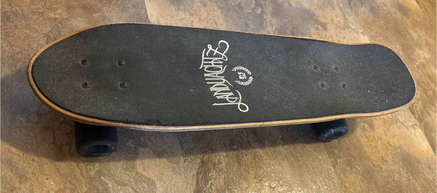 LandYachtz Skateboard - photo 2