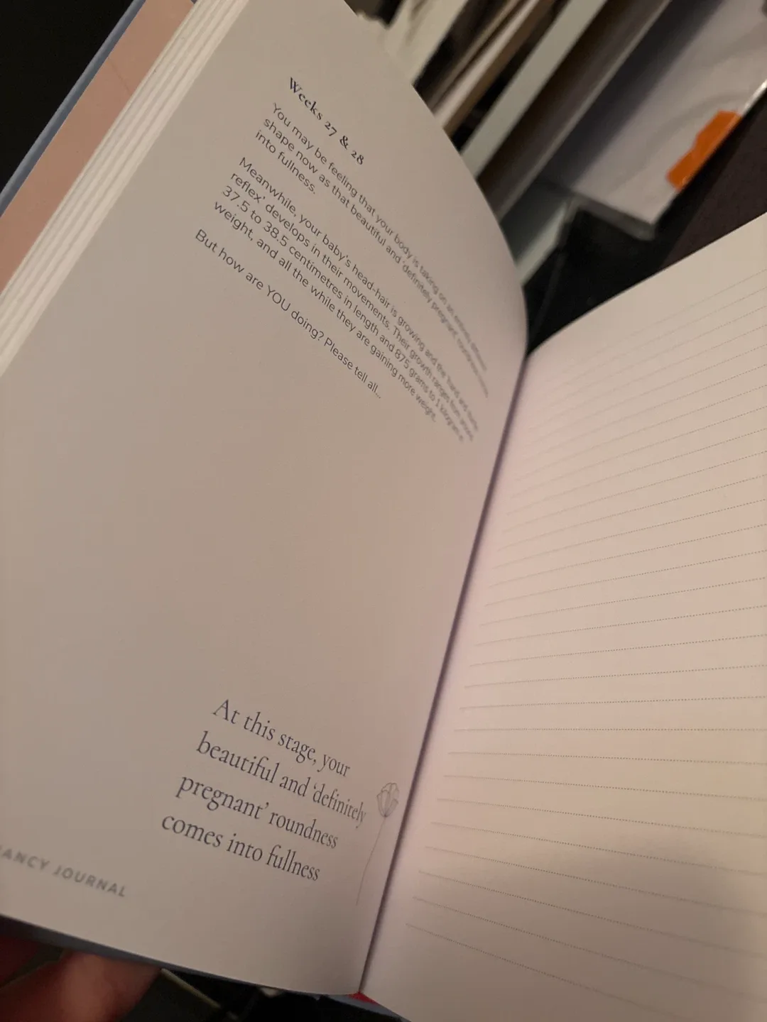 My Pregnancy Journal by Riga Forbes image indicator(2)