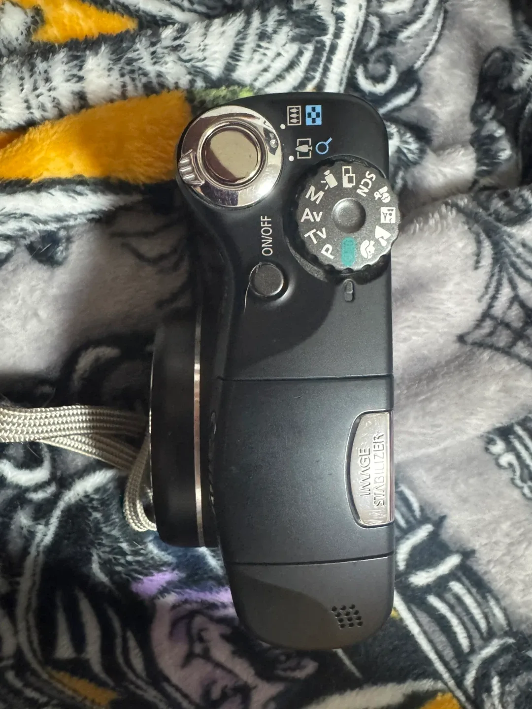 Canon PowerShot SX100 IS Digital Camera image indicator(5)