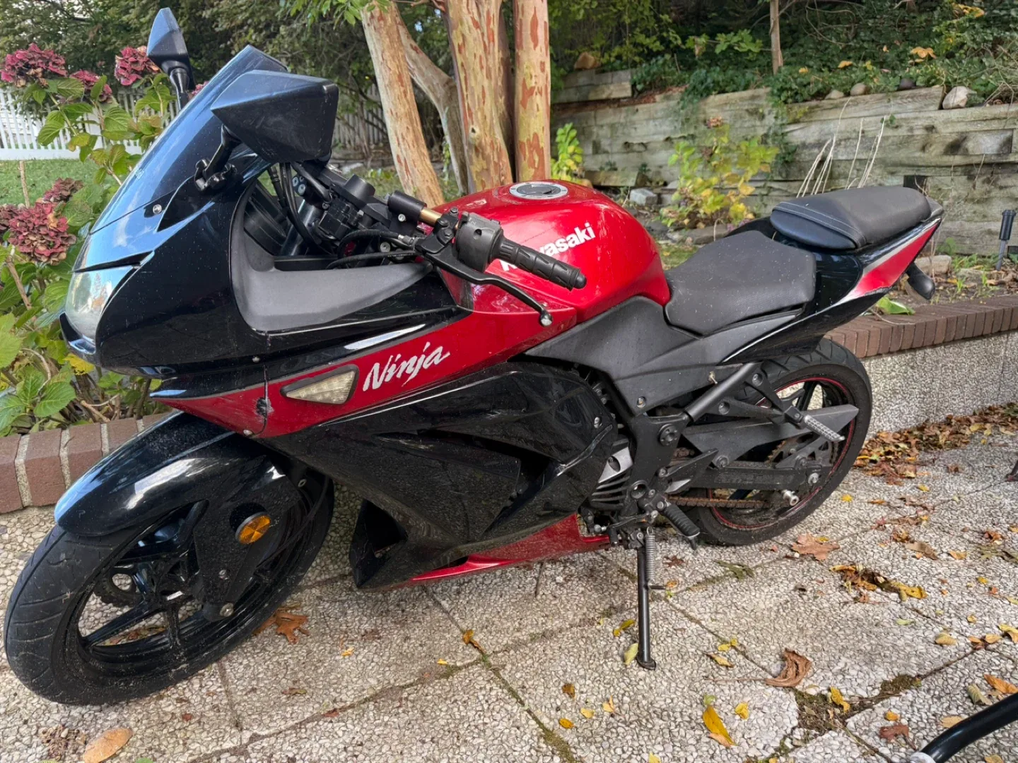 2010 Kawasaki Ninja Motorcycle - Red & Black image indicator(7)