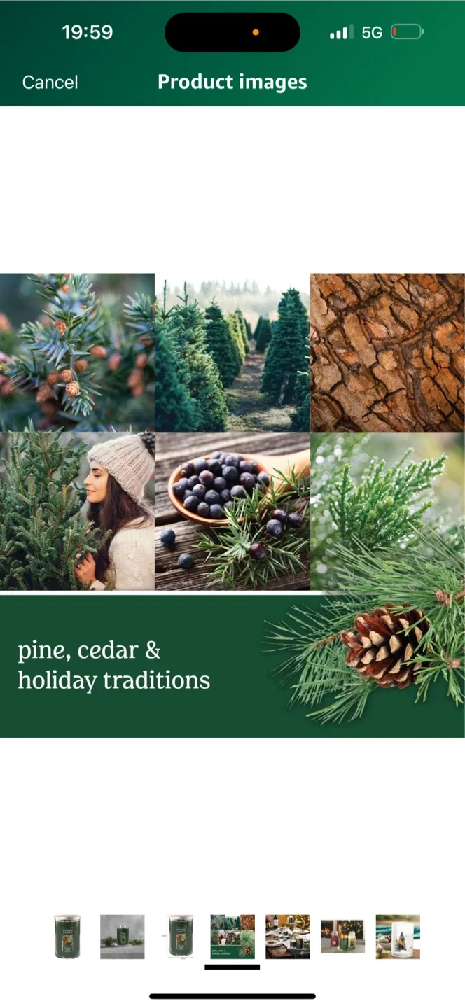 Yankee Candle Balsam & Cedar image indicator(4)