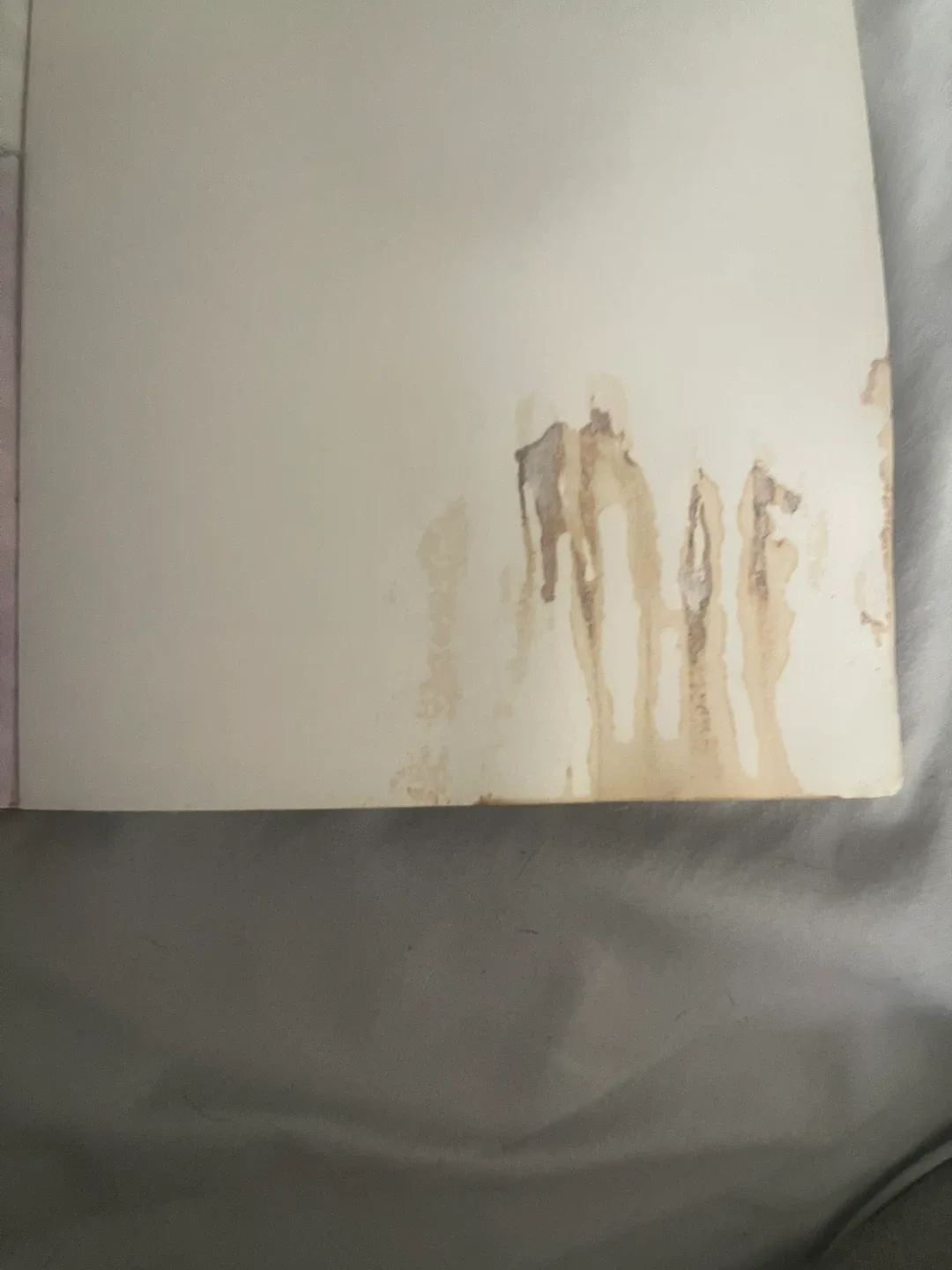 Pokémon Deluxe Essential Handbook image indicator(5)