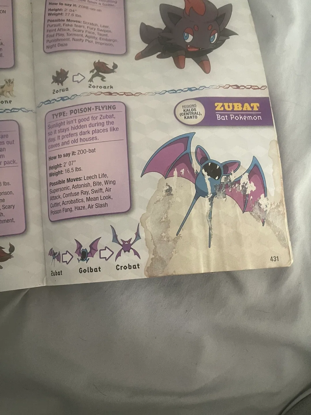 Pokémon Deluxe Essential Handbook image indicator(4)