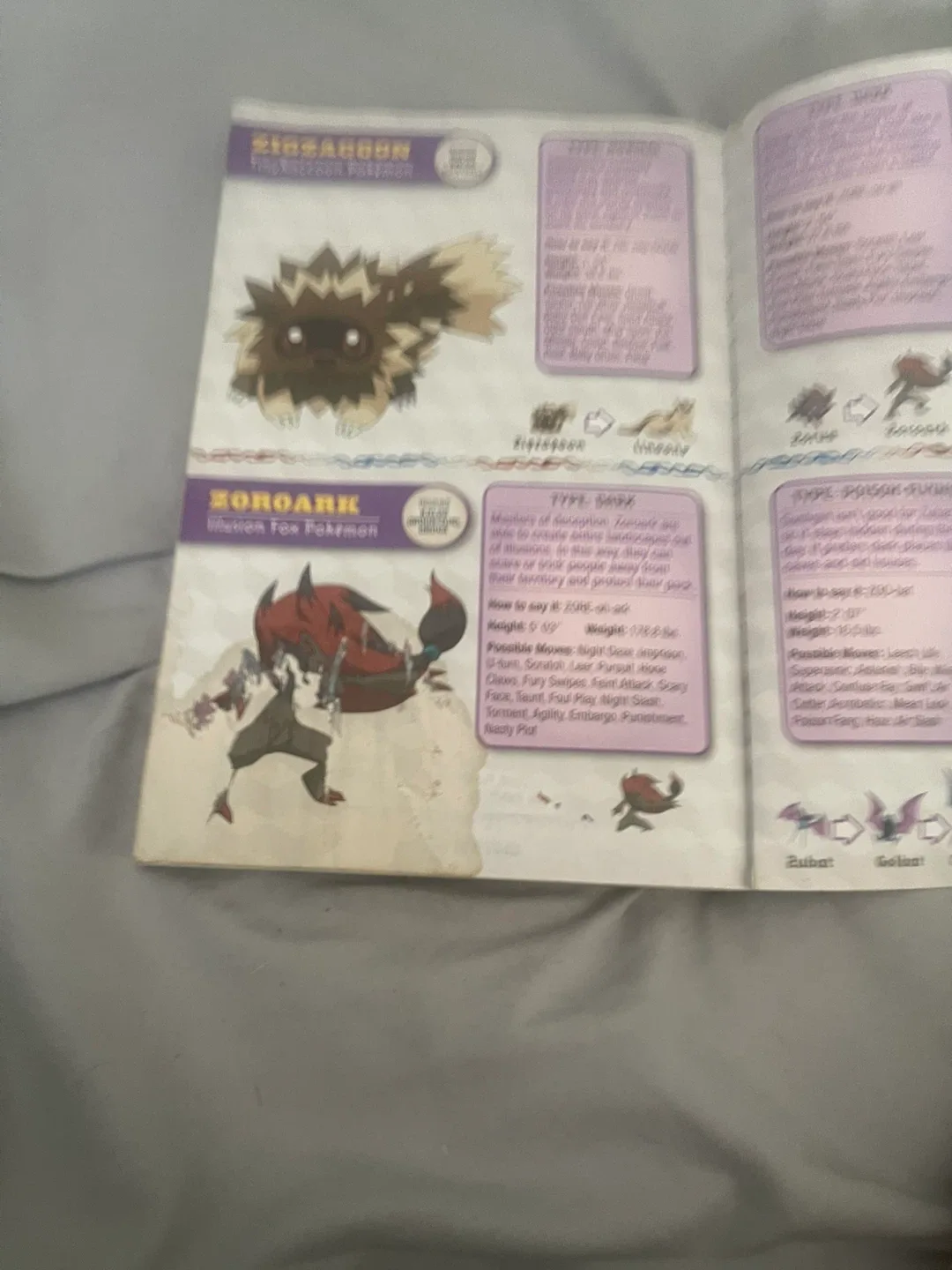 Pokémon Deluxe Essential Handbook image indicator(3)