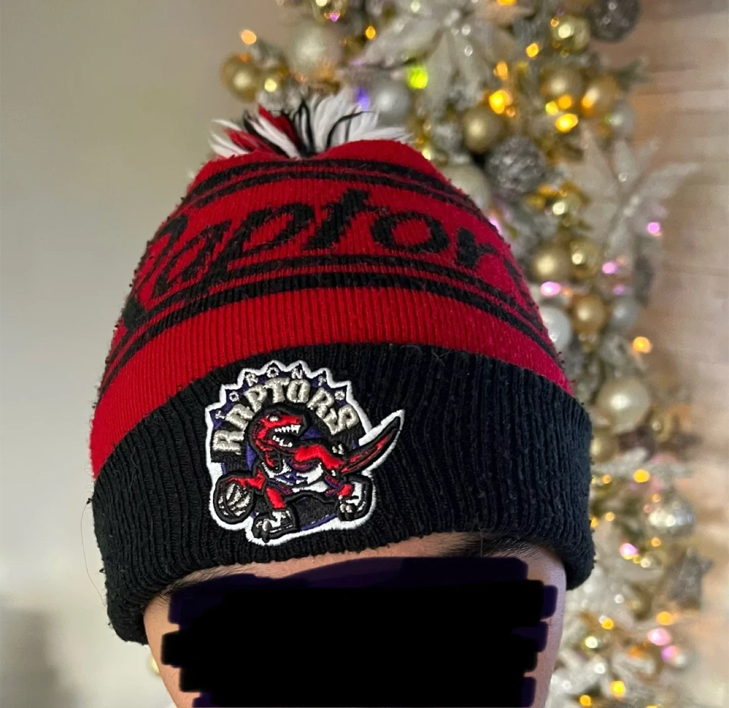 Toronto Raptors toque image indicator(2)