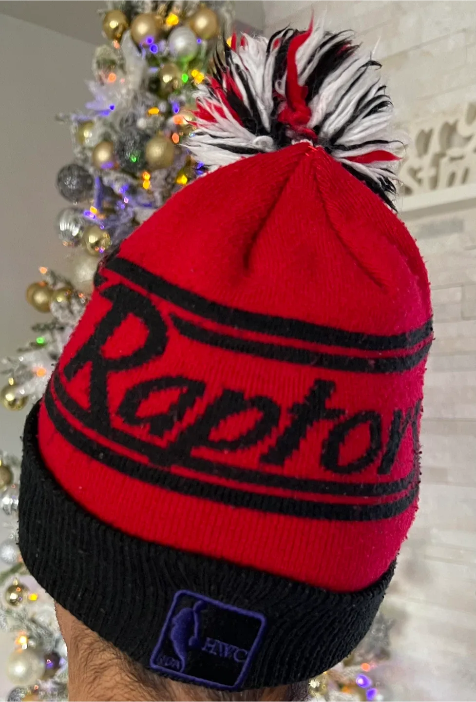 Toronto Raptors toque image indicator(4)
