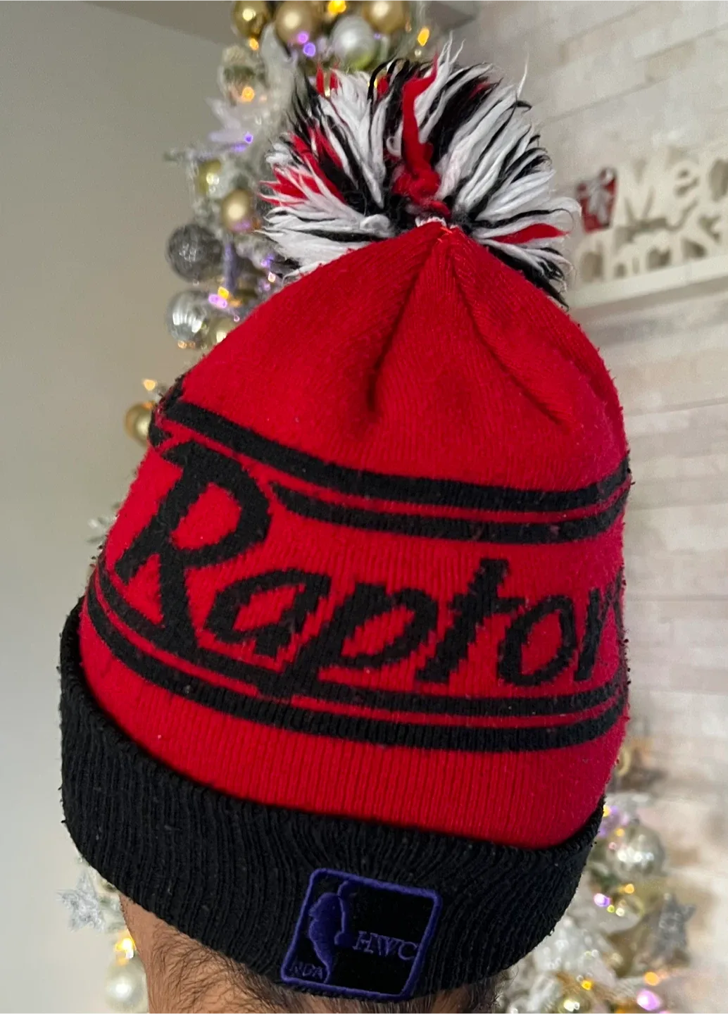 Toronto Raptors toque image indicator(3)