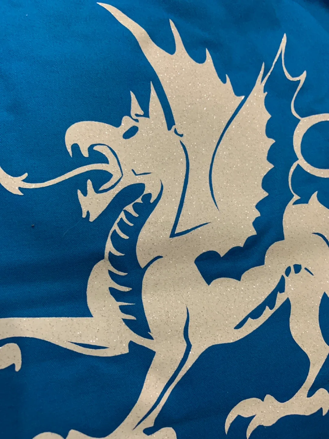 Blue Decorative Pillow with Glitter Dragon Design image indicator(3)