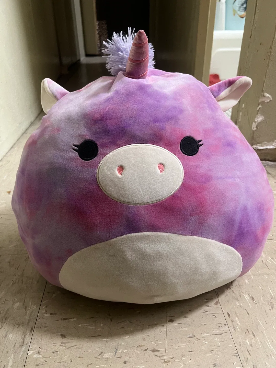 Lola Squishmallow