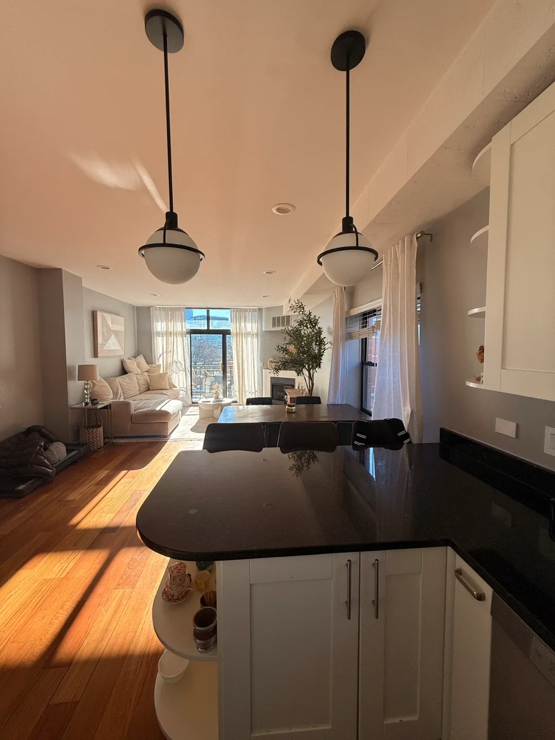 2 bedroom 2 bath River West image indicator(2)