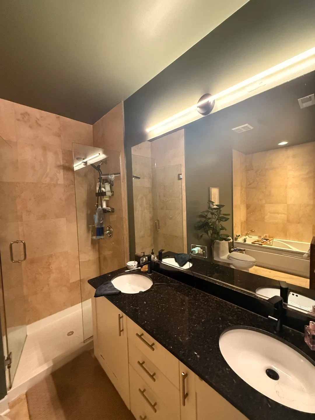 2 bedroom 2 bath River West image indicator(6)