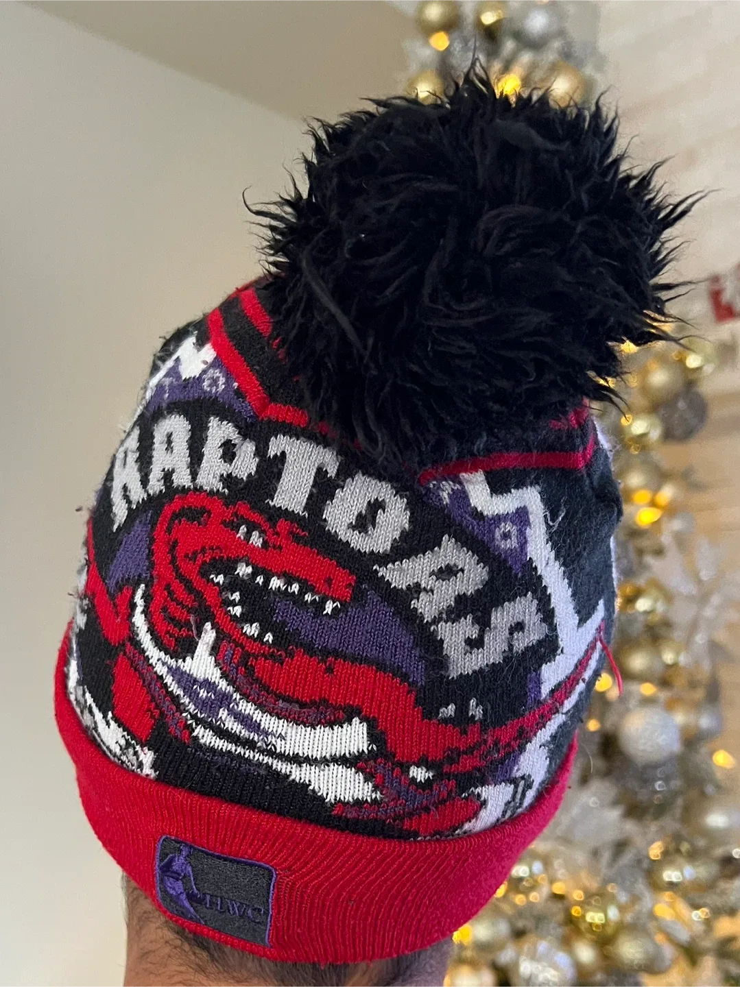 Toronto Raptors New Era Pom Pom Toque image indicator(2)