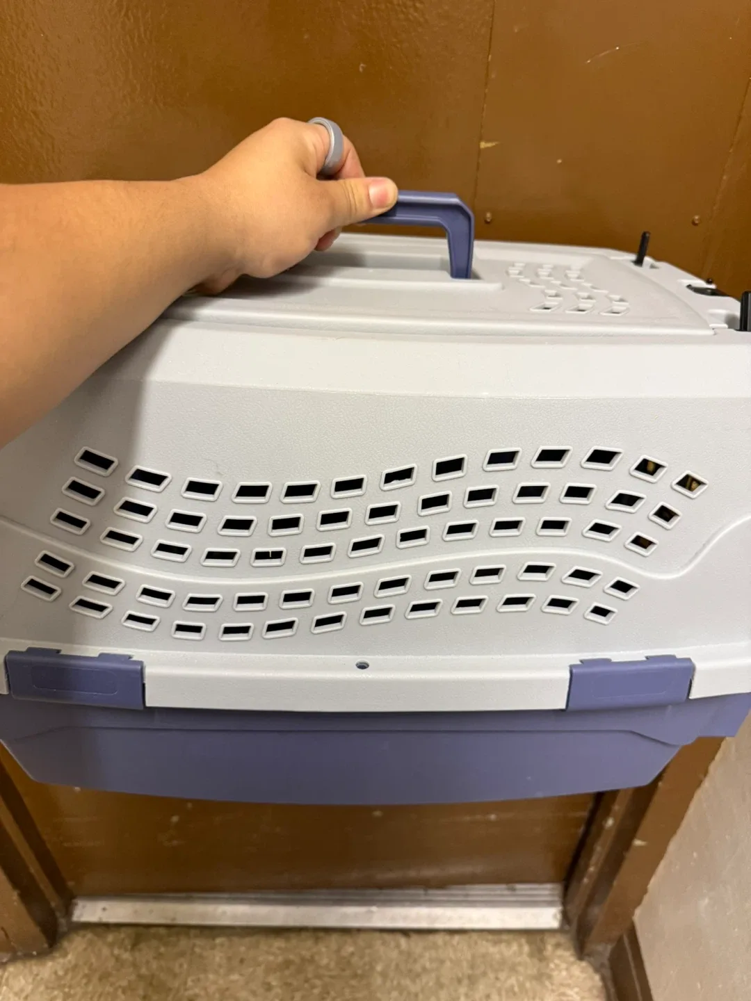 Pet Carrier - Gray & Purple image indicator(3)