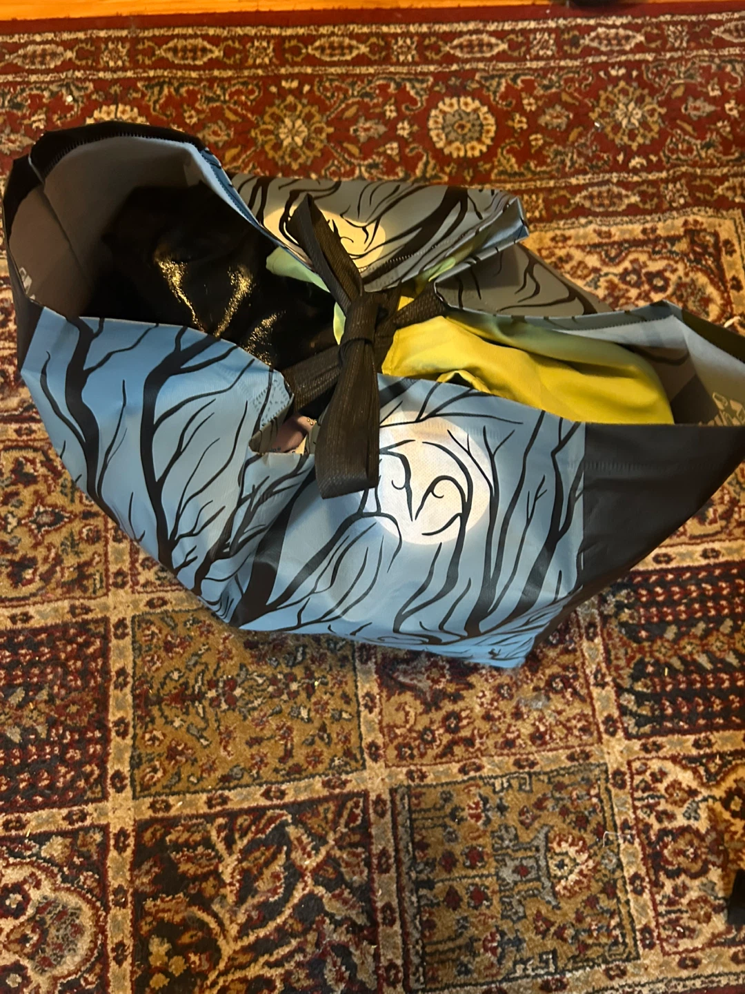 Bag of clothes