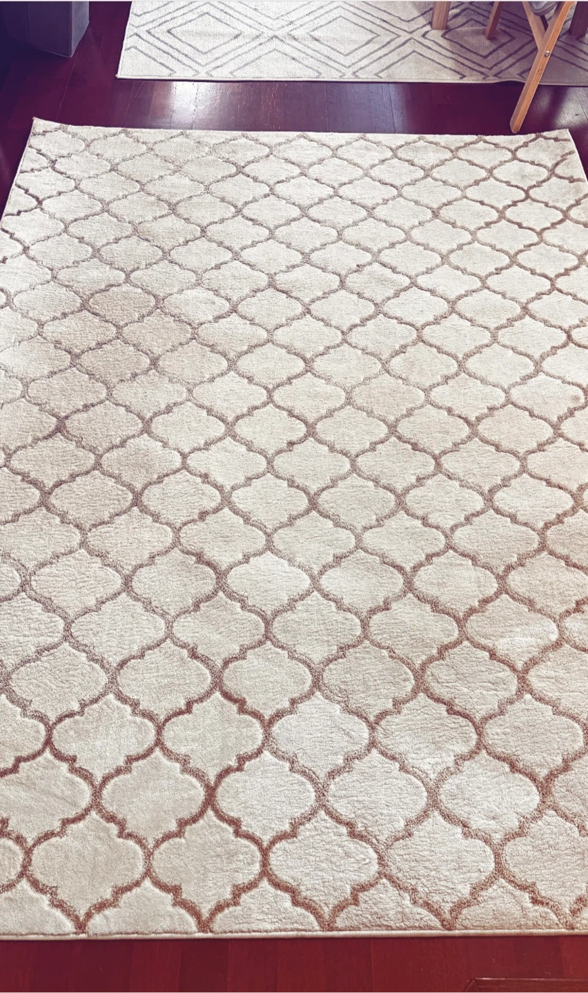 Home Trends Area Rug 5 ft. x 7 ft.