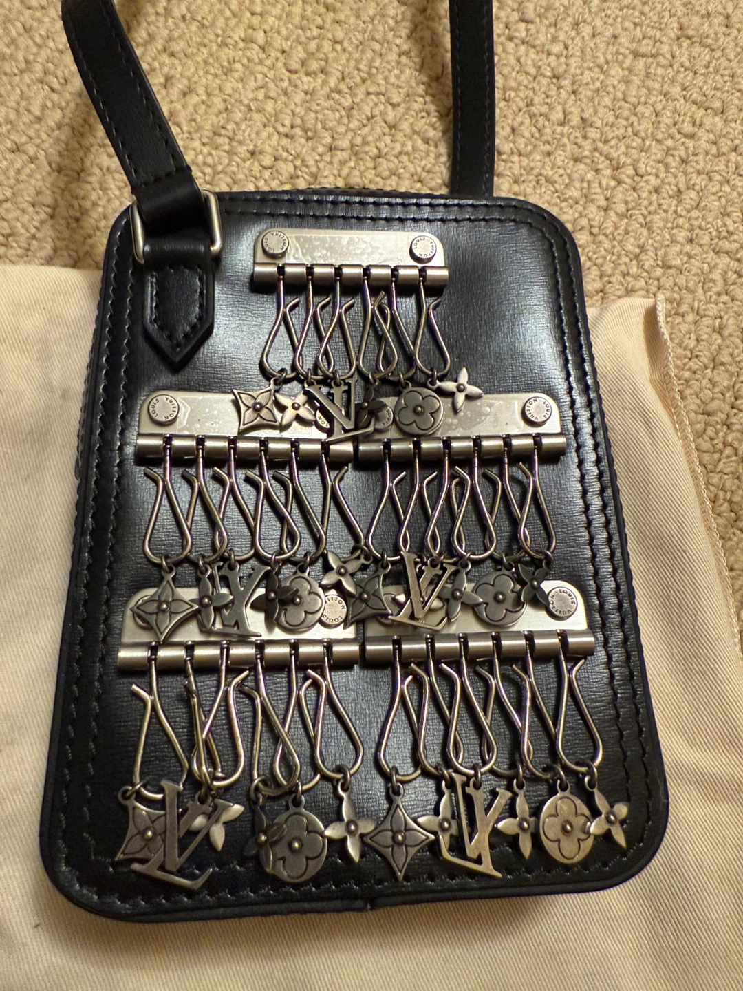 Louis Vuitton Men’s Danube Messenger Bag - photo 3