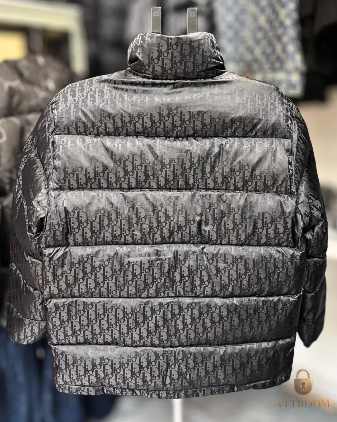 Dior Oblique Down Jacket Black Technical Jacquard image indicator(4)