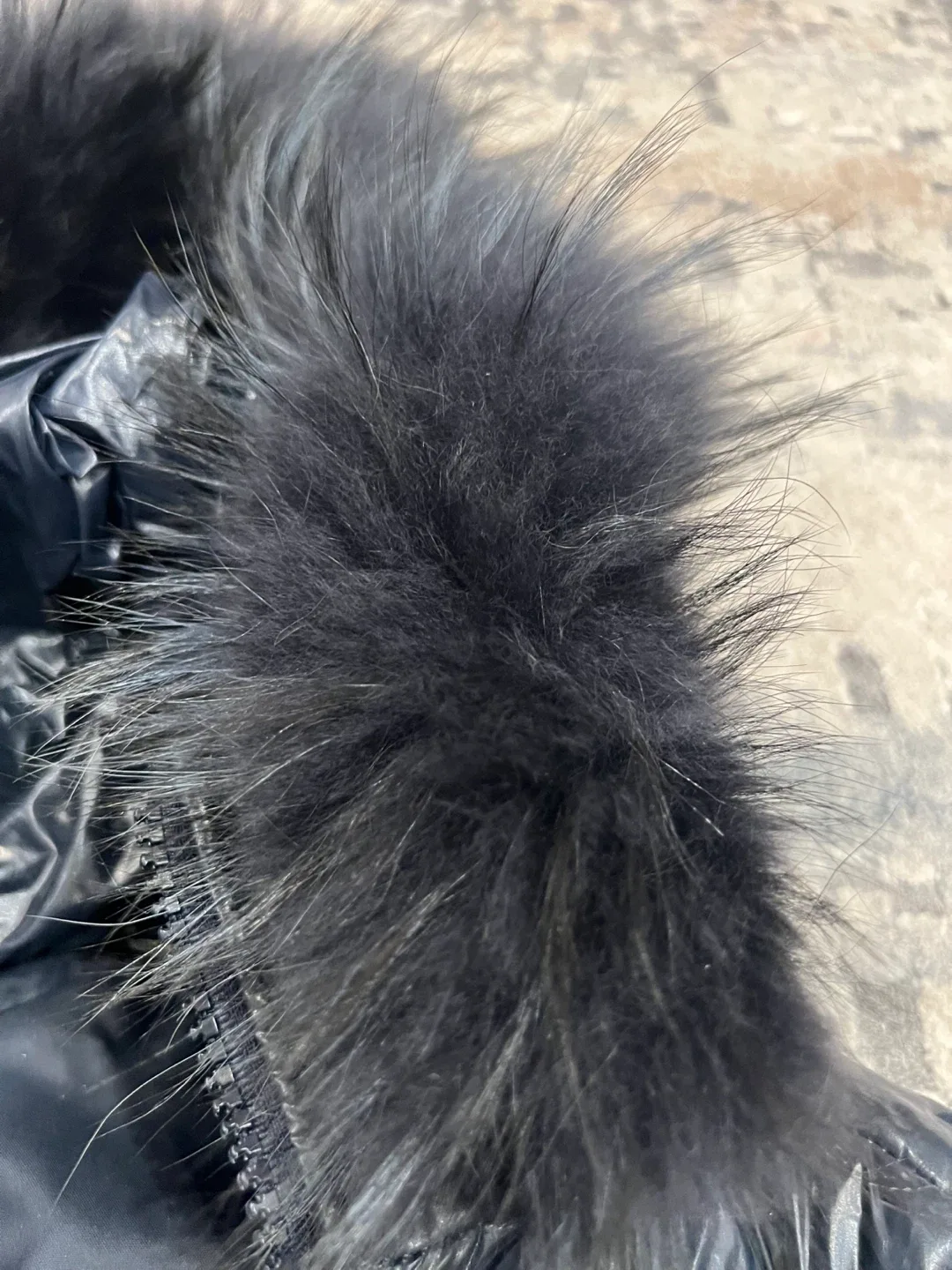 Baldinini Dark Navy Puffer Jacket - Size 40 image indicator(6)