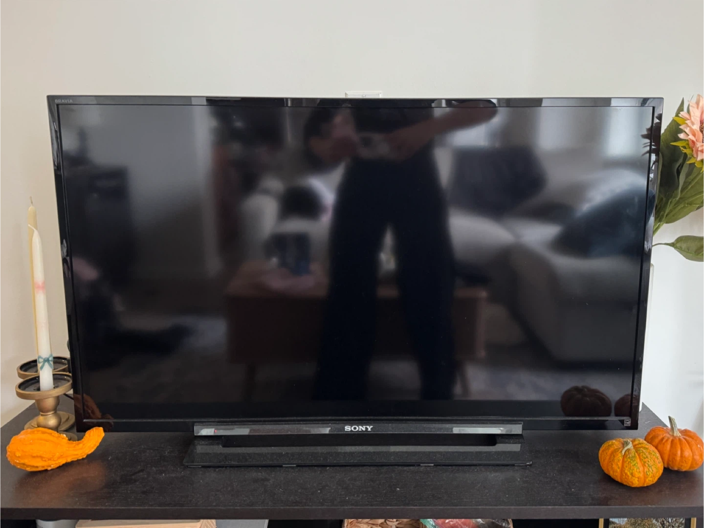 Sony Bravia 40" TV
