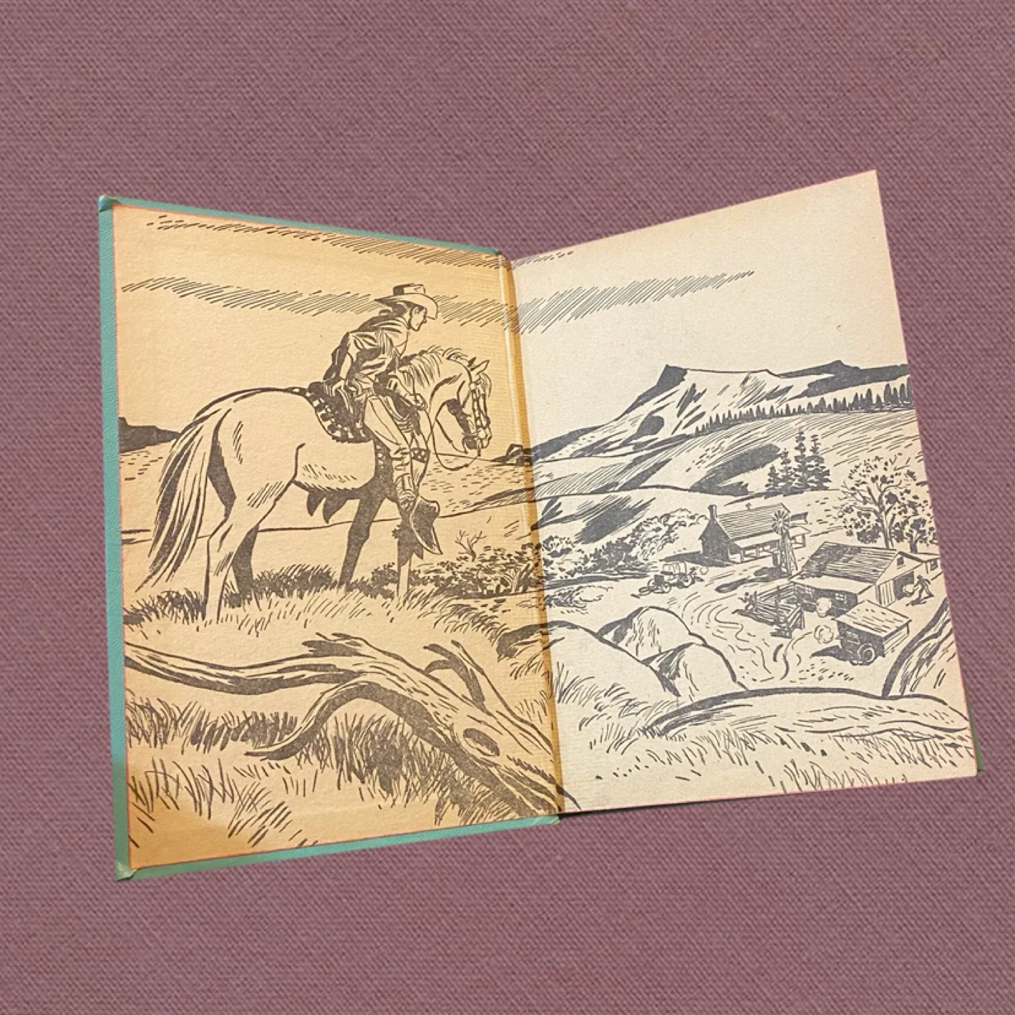 Vintage Cowboy Western Books image indicator(7)