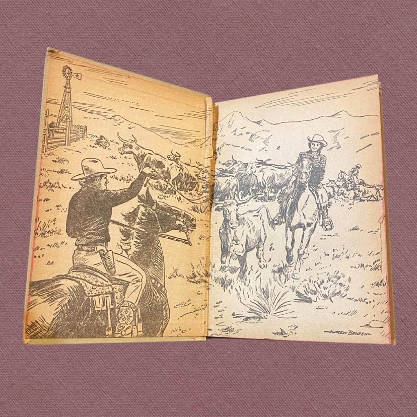Vintage Cowboy Western Books image indicator(8)