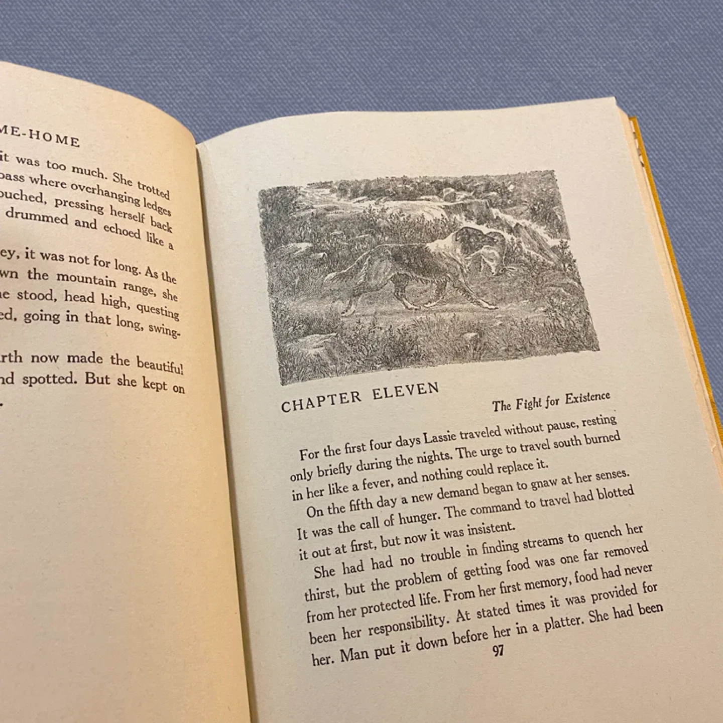 Vintage ‘Lassie’ Hardcover Book image indicator(5)