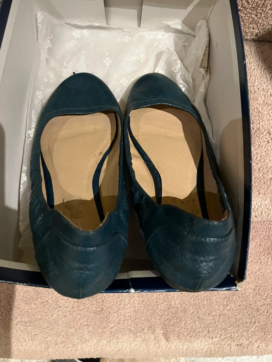 Wanted Teal Ballet Flats Size 7 image indicator(2)