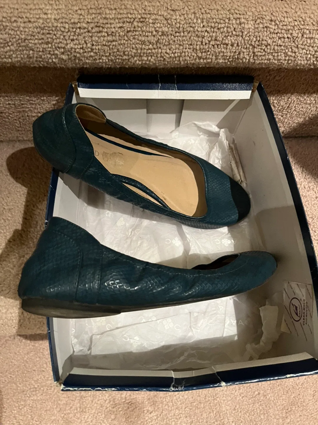 Wanted Teal Ballet Flats Size 7 image indicator(3)